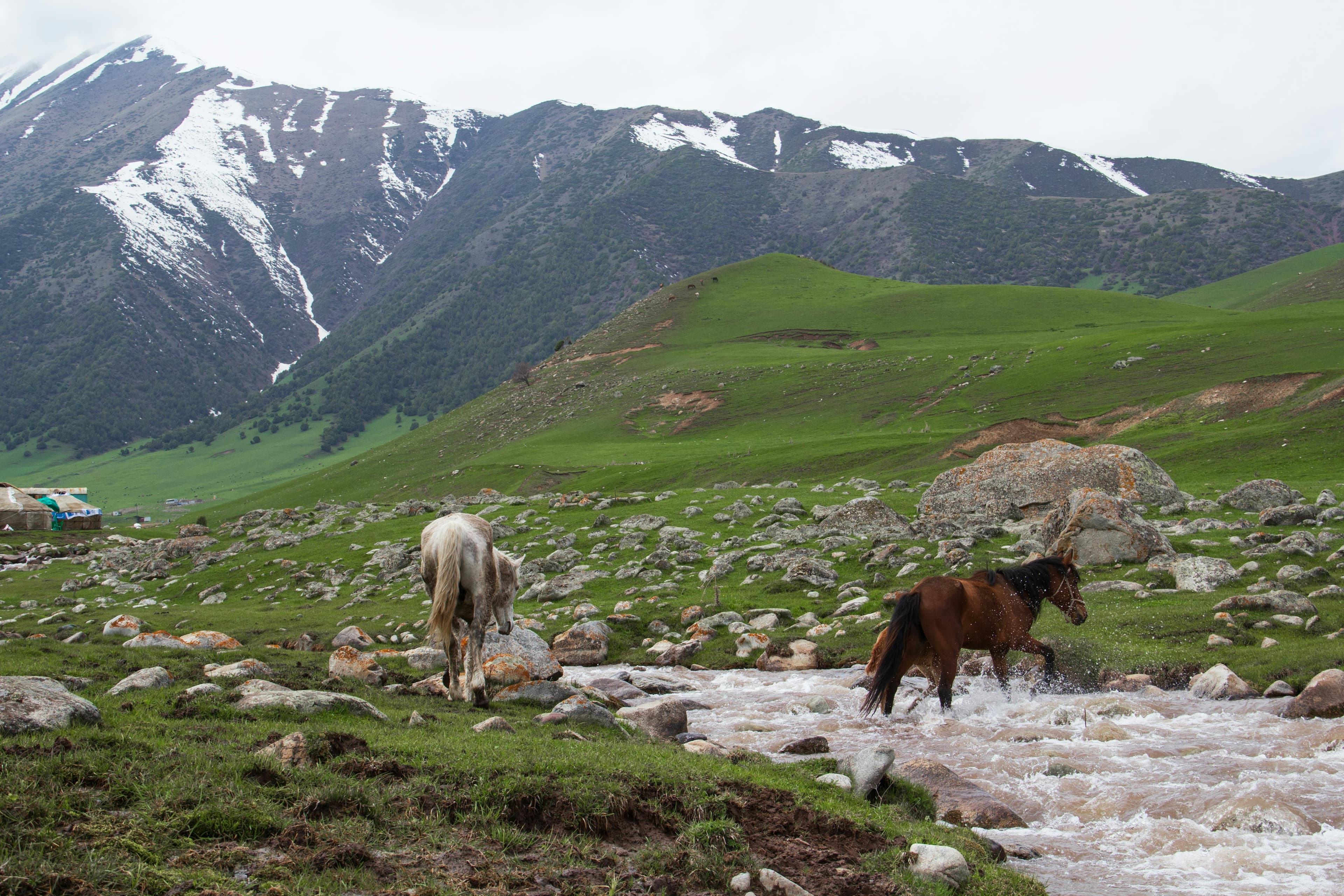Kyrgyzstan